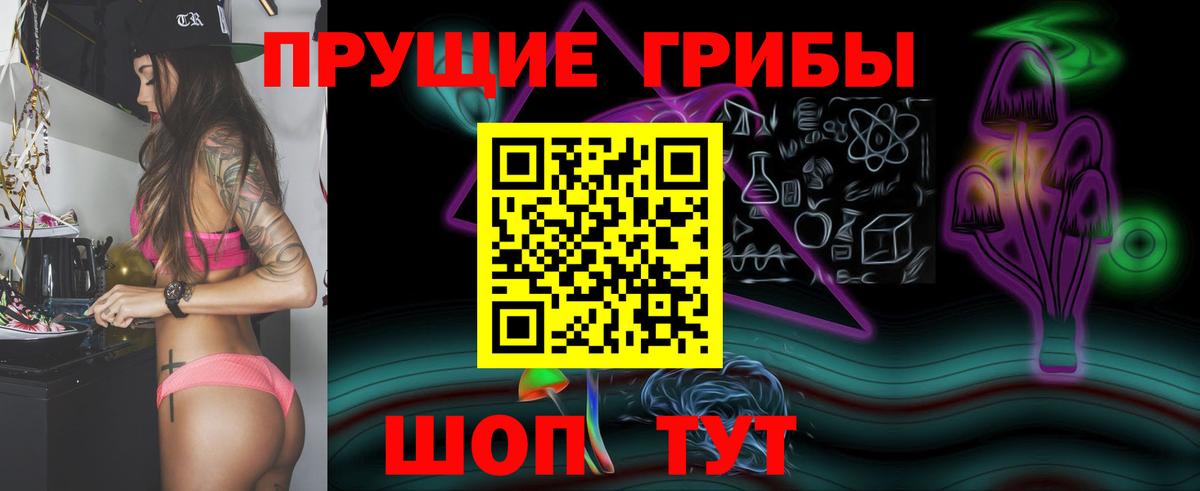 Псилоцибиновые грибы MAGIC MUSHROOMS  Вход с VPN  Псилоцибиновые грибы Cubensis  Коммунар 